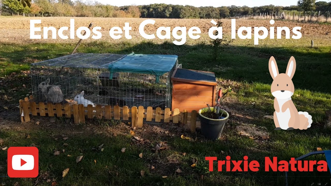 Clapier et enclos TRIXIE !