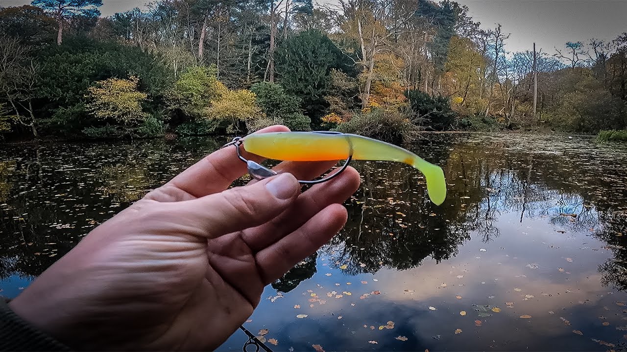 Fishing for pike on a MEDIEVAL POND!
