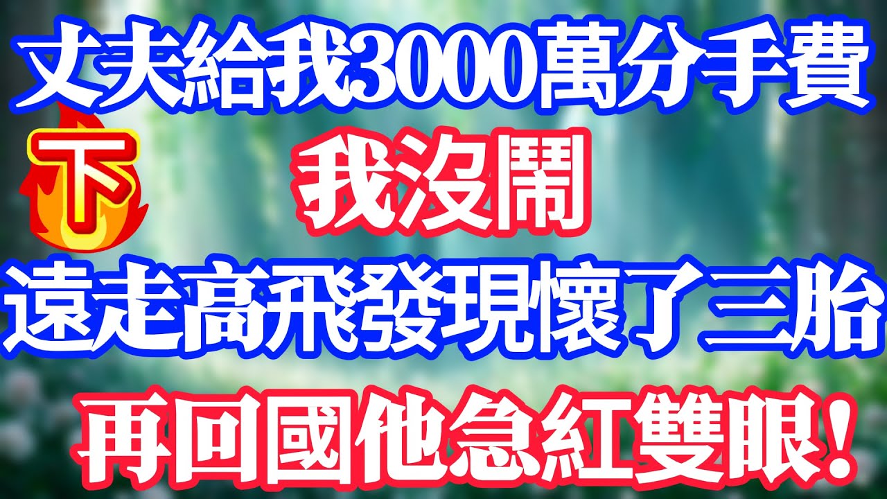 【下集】丈夫給我3000萬分手費，我沒鬧，遠走高飛發現懷了三胎，再回國他急紅雙眼！
