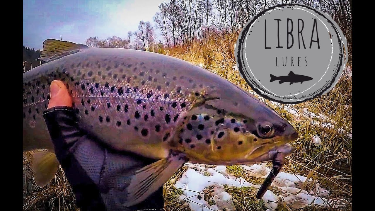 Rozpoczęcie sezonu pstrągowego | luty 2022 | piękny potok 54 cm | Fatty D' Worm w akcji