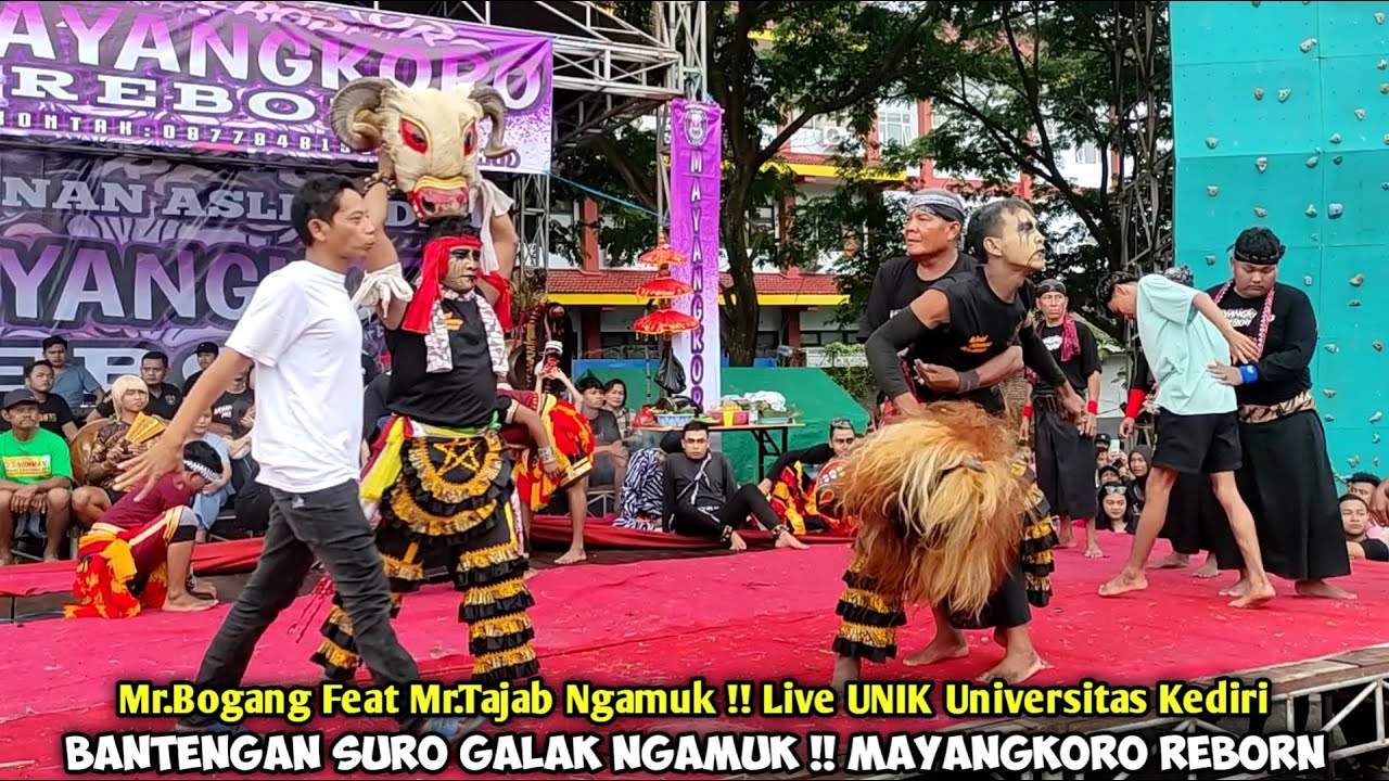 Bantengan Suro Galak Ngamuk❗Jaranan MAYANGKORO REBORN Live UNIK Universitas Kediri