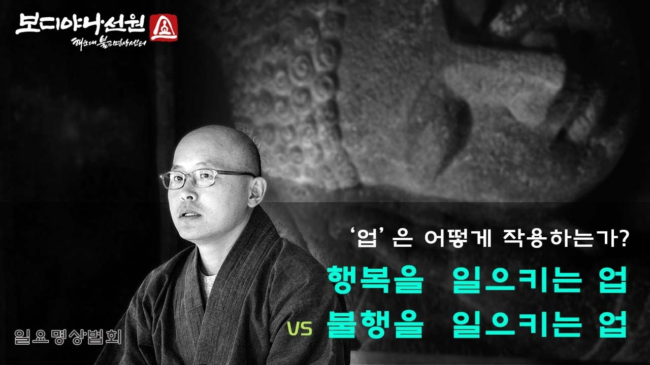 업은 어떻게 작용하는가? - 행복을  일으키는 업 VS 불행을  일으키는 업ㅣ업 분석의 짧은 경(M135) l 일요명상법회ㅣ혜안스님