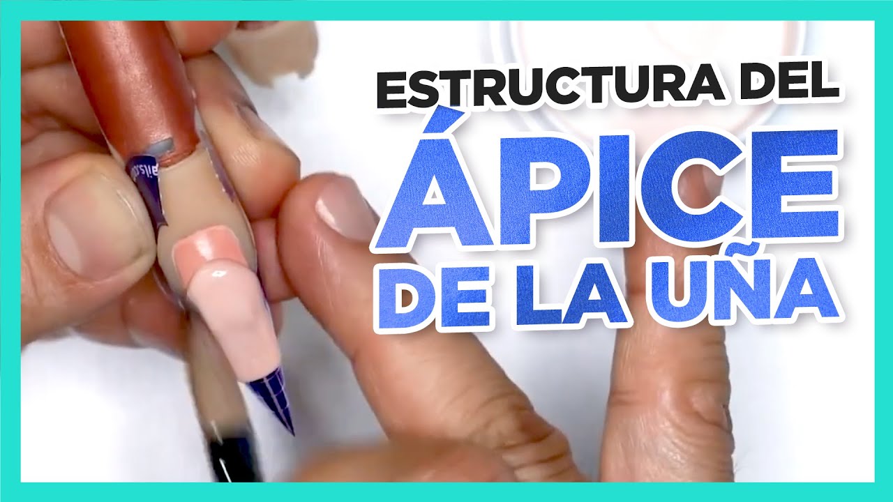 Los Sí y los No de la Estructura del Ápice de la Uña