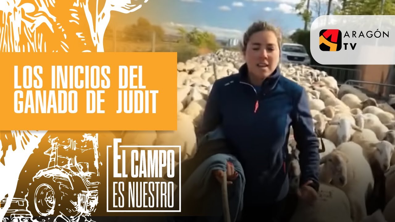 Los inicios del ganado de Judit