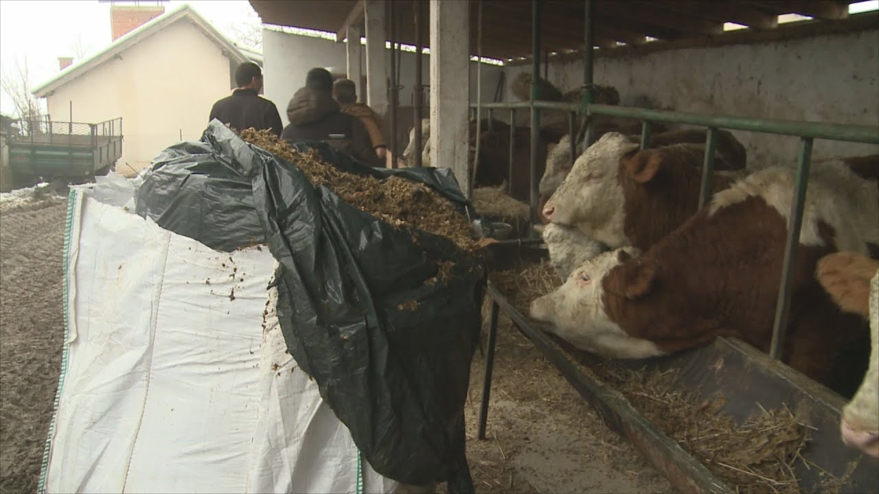 PAMETNO REŠENJE za SILAŽU - siliranje u DŽAMBO VREĆAMA - idealno za ovce - koze - krave