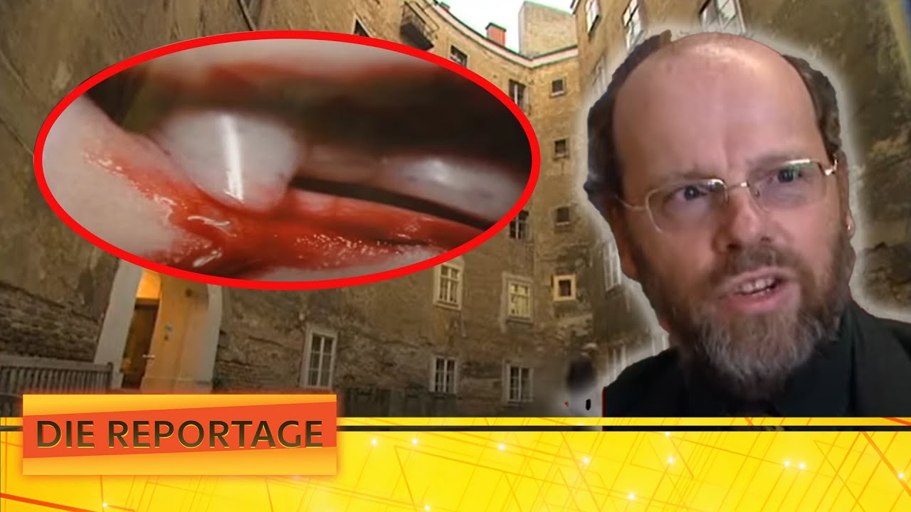 Kontakt mit dem Geist der Vampirin?👻 Die Arbeit als Vampirologe! | Die Reportage | ATV