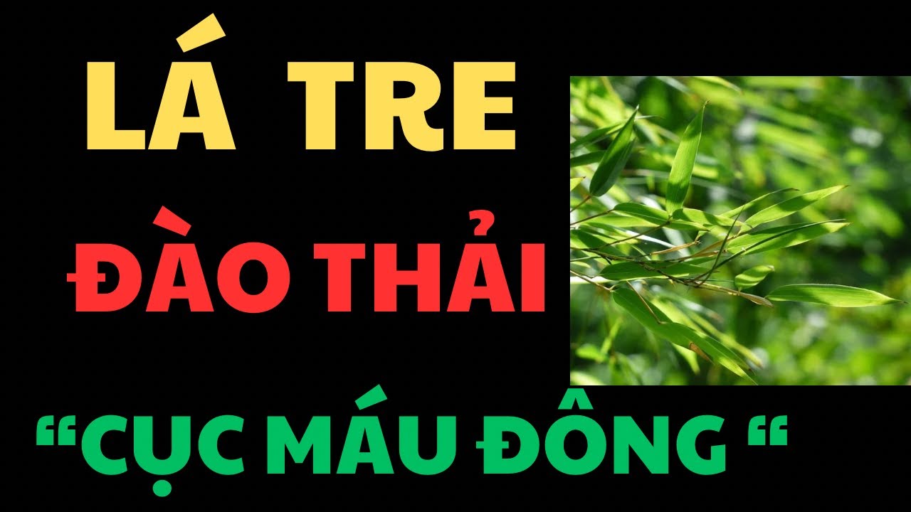 L&aacute; Tre Đ&agrave;o Thải M&aacute;u Đ&ocirc;ng, Tăng Đề Kh&aacute;ng