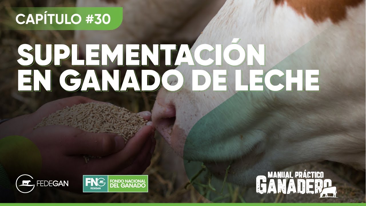 Capítulo 30 - Suplementación en ganado de leche 