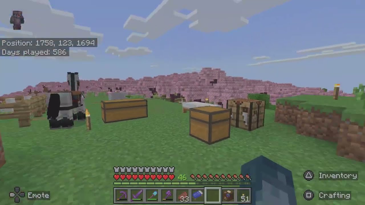 Minecraft 250