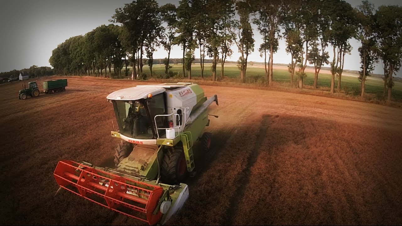 Mł&oacute;cenie Lnu ✯ Claas Avero 240 ✯ Rolnictwo z drona ✯ DJI Phantom 2