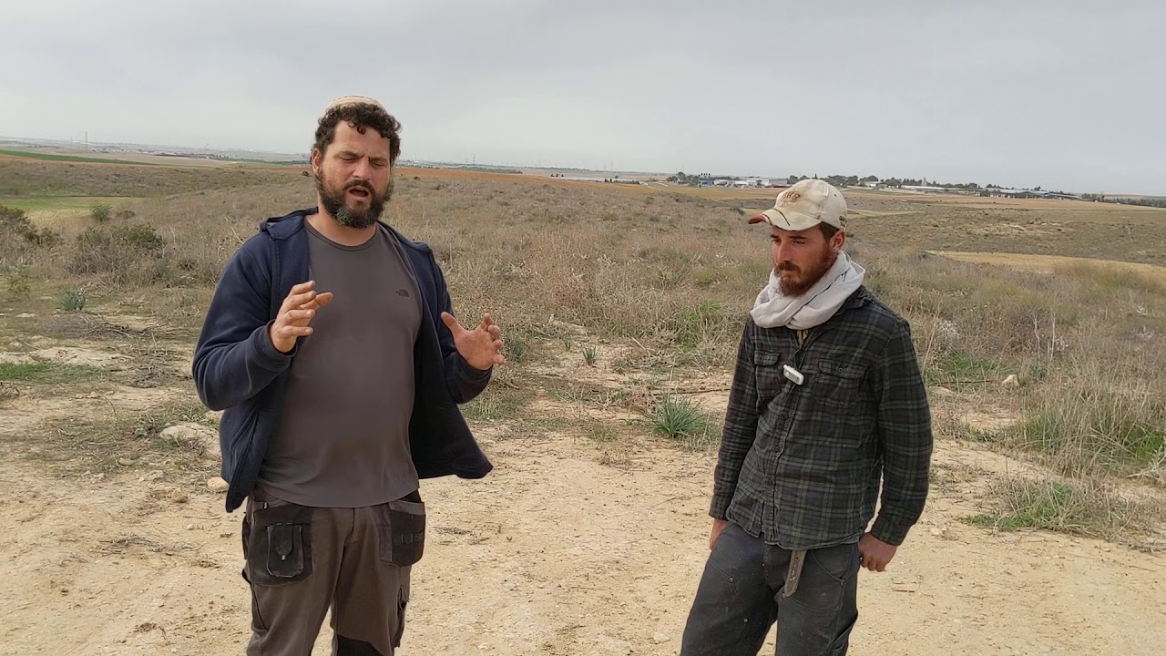 Planting a seed forest in Har Shemesh Farm with Emet Permaculture Nursery