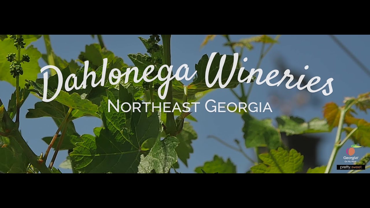 Dahlonega, Georgia Wineries