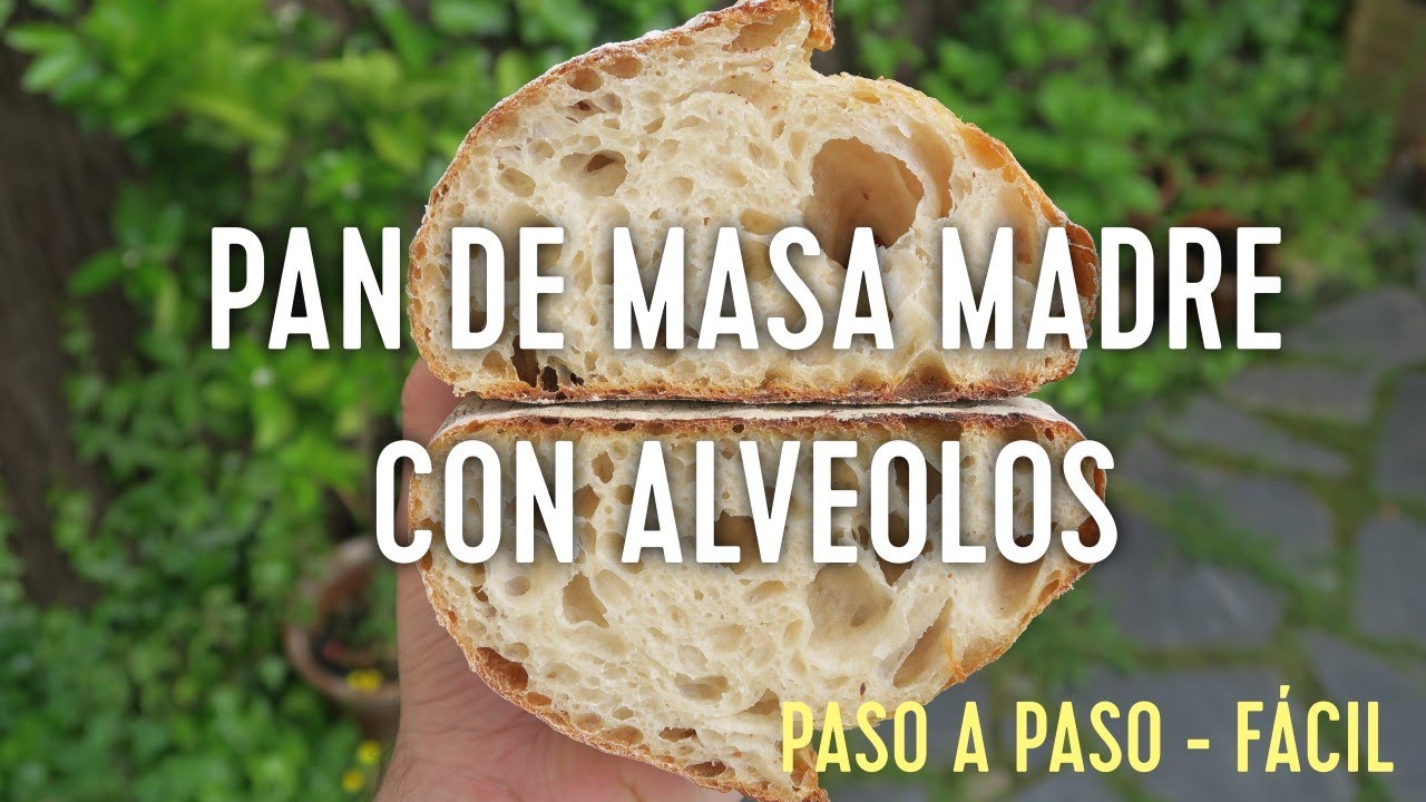 PAN DE MASA MADRE ALVEOLADO Paso a paso - Fácil