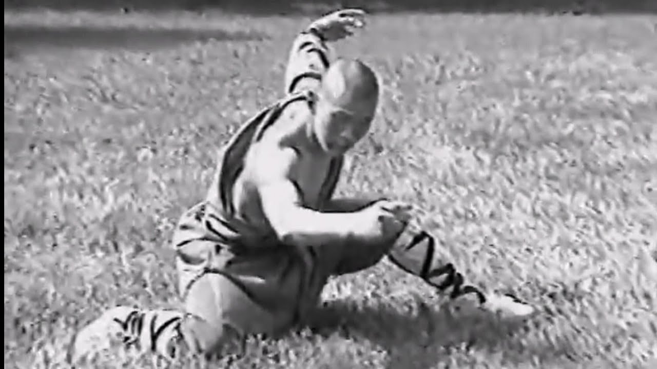 SHAOLIN KUNG FU: Drunken tactics (zui quan)
