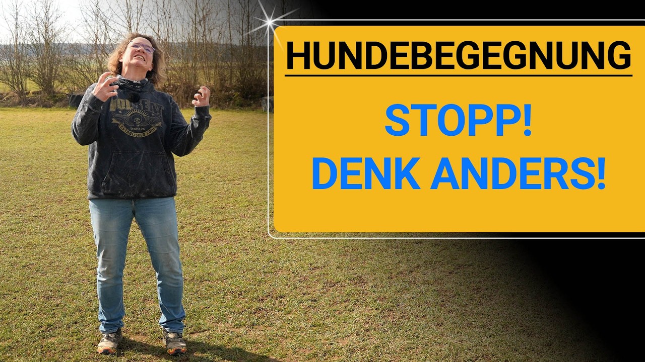 💥🐶 Hundebegegnung (Besitzer) meistern 👉 Warum dein Stress alles schlimmer macht! 🐶💥✔️