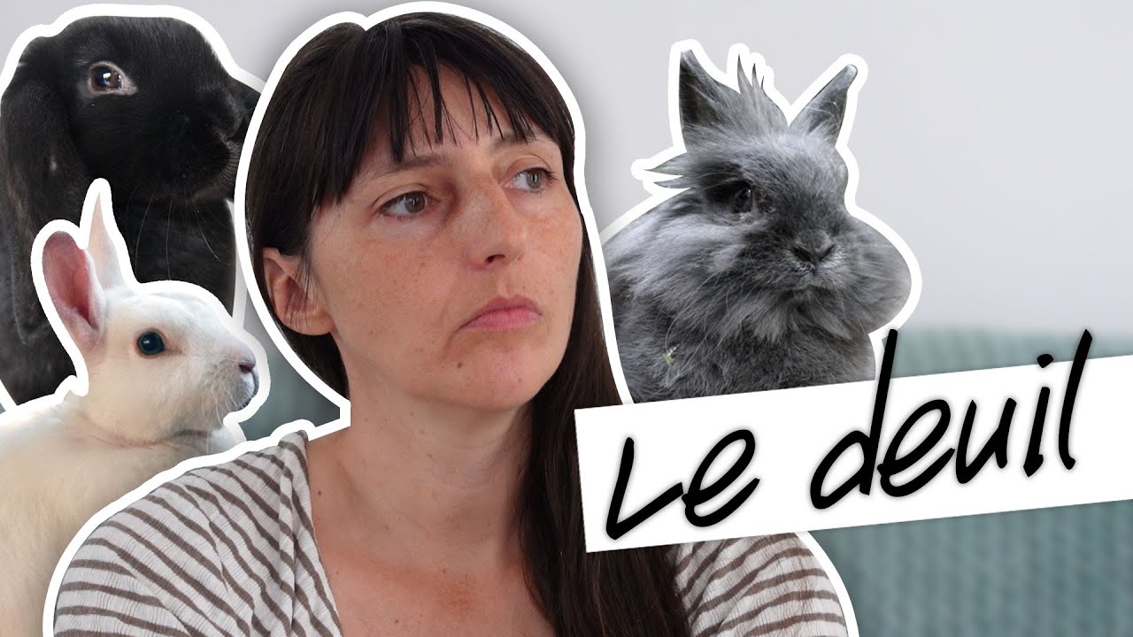 Le deuil - comment j'ai vécu la perte de mes lapins
