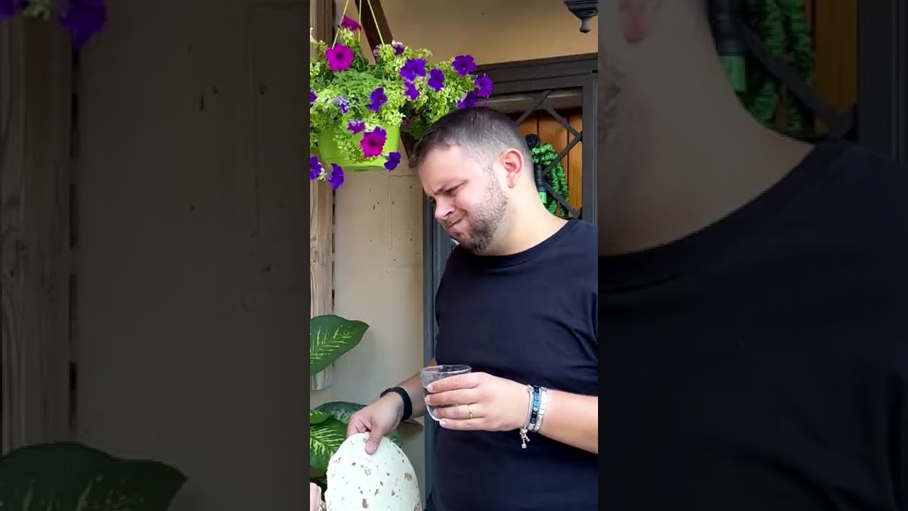 Challenge Tortilla slap | TikTok Momo e Kika