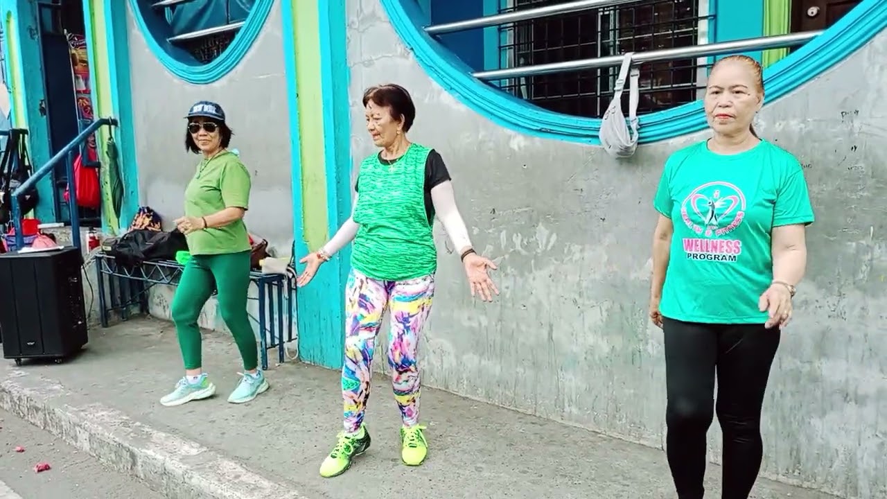 LOVE YOU MORE THAN I CAN SAY BY LEO SAYER (REMIX) - SENIOR MOVES_ZUMBA