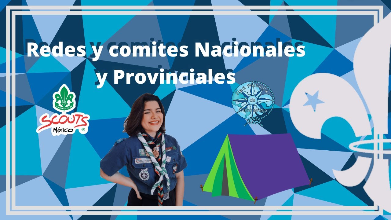 Redes y Comités Provinciales y Nacionales