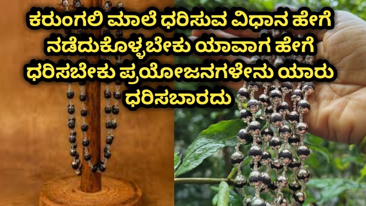 ನೀವು ಕರುಂಗಲಿ ಮಾಲೆ ಧರಿಸಿದ್ರೆ ಈ ವಿಡಿಯೋ ನೀವು ನೋಡಲೇ ಬೇಕು ಏನೇಲ್ಲಾ ಅಗತ್ತೆ ಇದರಿಂದ 
