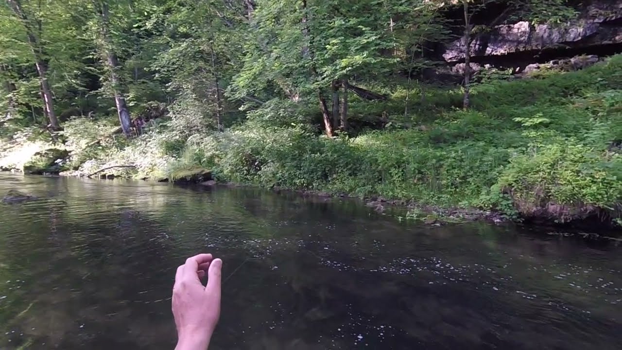 Tenkara in the Iowa Driftless - Vlog #1