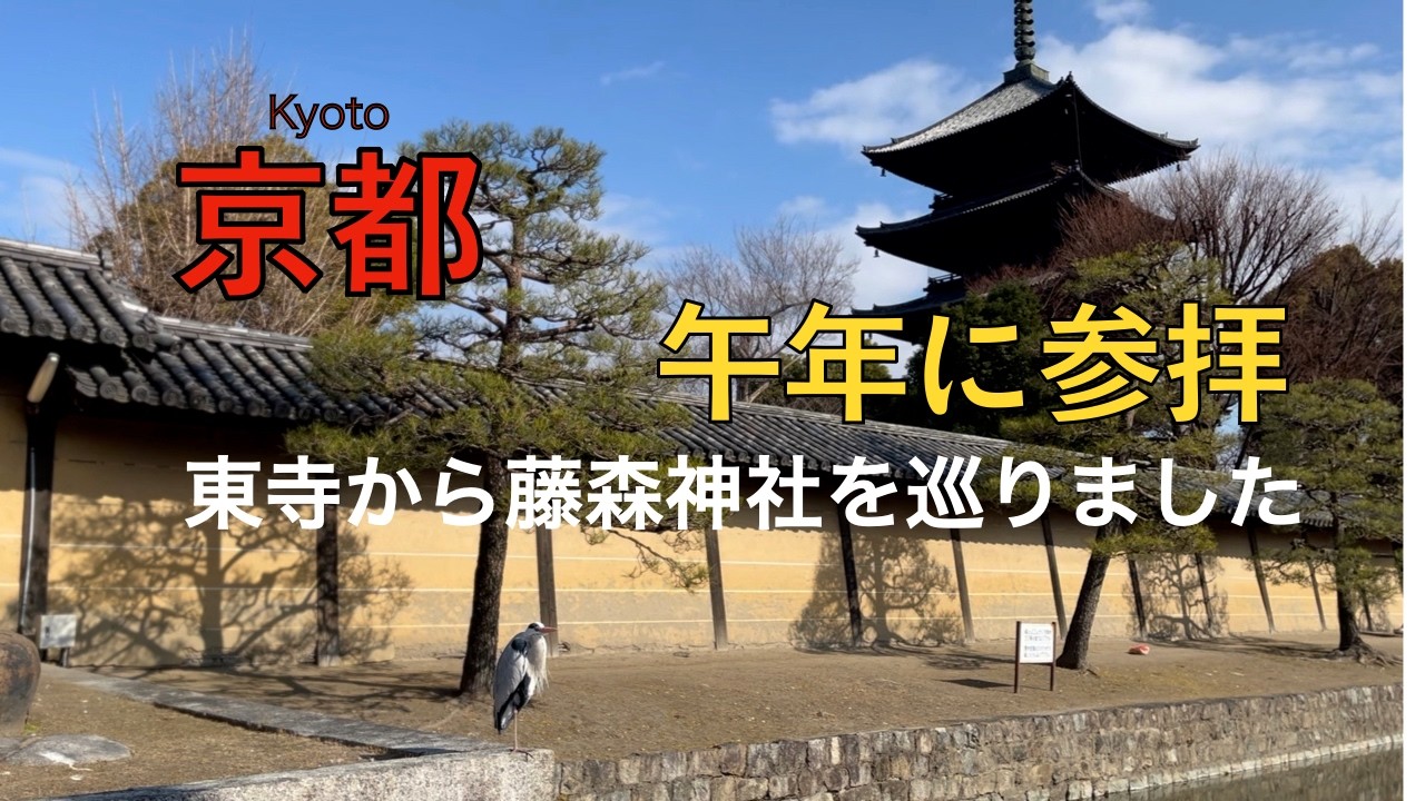【京都大好き】東寺ガラクタ市から午年に訪れたい開運パワースポット藤森神社を巡りました｜東寺｜藤森神社
