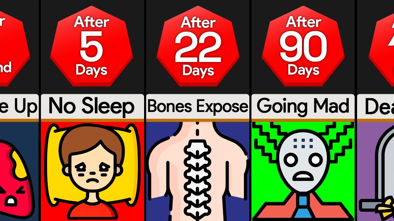 Timeline: What If You Stayed In Bed Forever