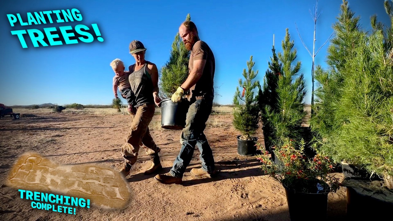 The Trenching Is Complete And Trees!! | Building Our OffGrid Paradise Ep40