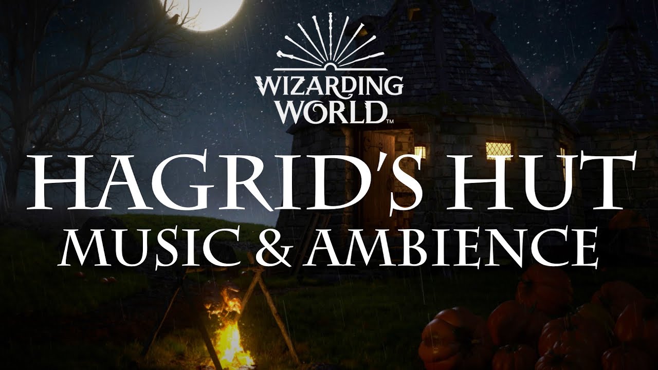 Harry Potter Music & Ambience | Hagrid's Hut