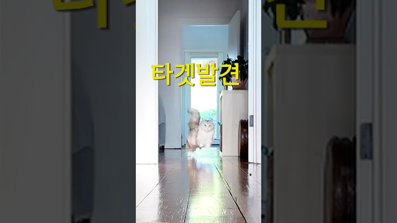 타겟발견 🚀