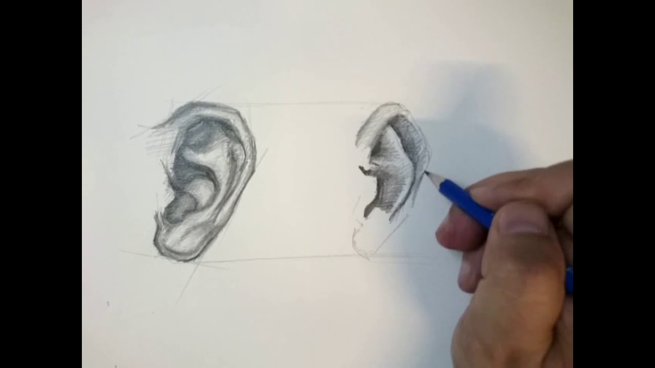 How to draw ear - رسم وتظليل الأذن بأقلام الرصاص