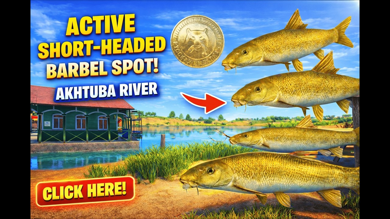 Akhtuba River is ON FIRE! 🔥 Active Short-Headed Barbel Spot | Russian Fishing 4