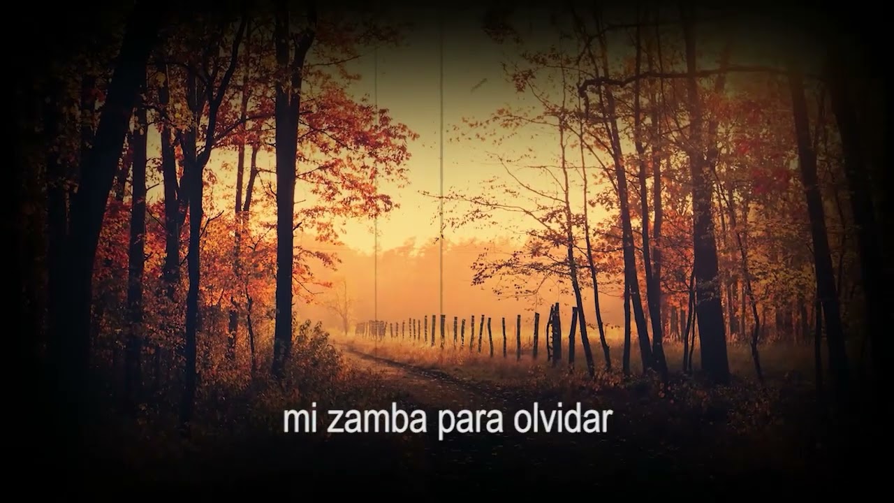 Zamba para olvidarte