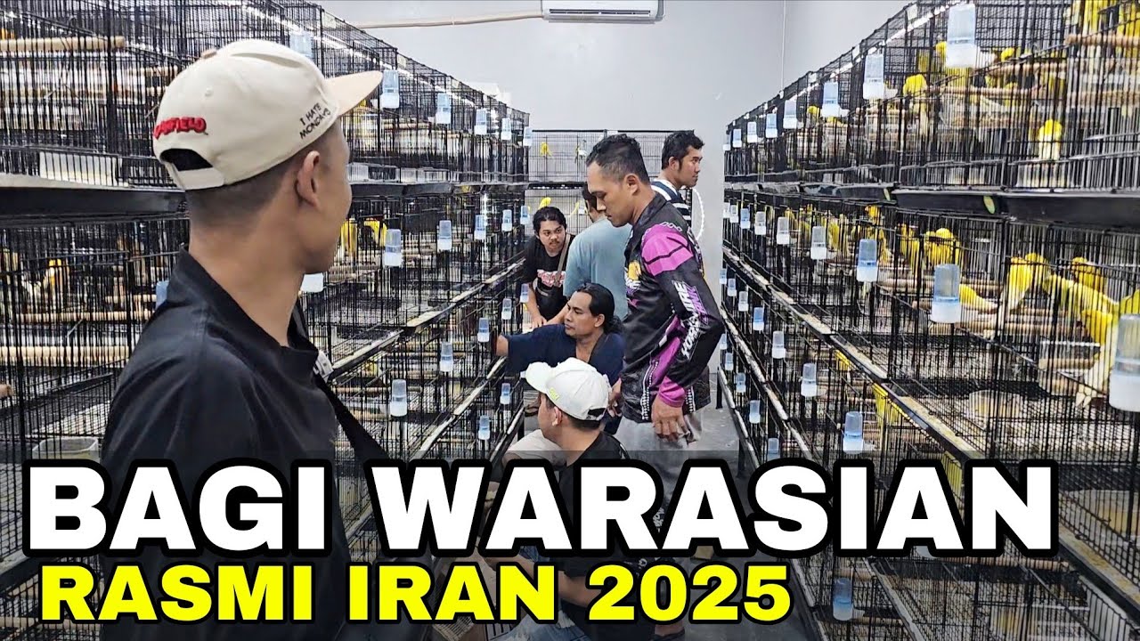 PECAHH...‼️ WARISAN GIBOSO.BB.RASMI.YS DI BAGIKAN MASAL..