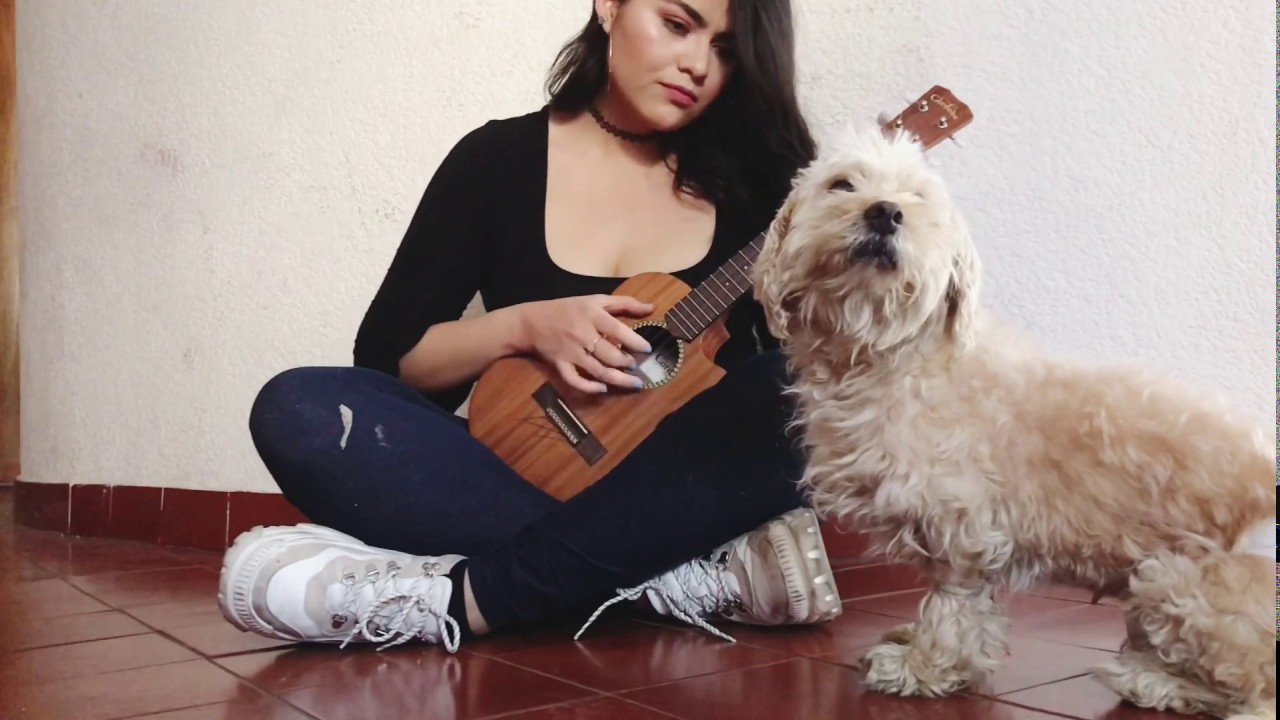 Medialuna - Camilo (Ukulele cover)