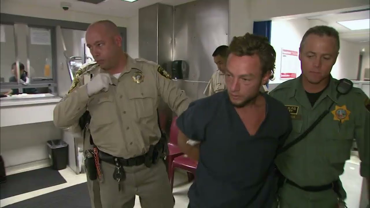 👮 BUSTED. It's Criminal Not to Watch 🚨 👀