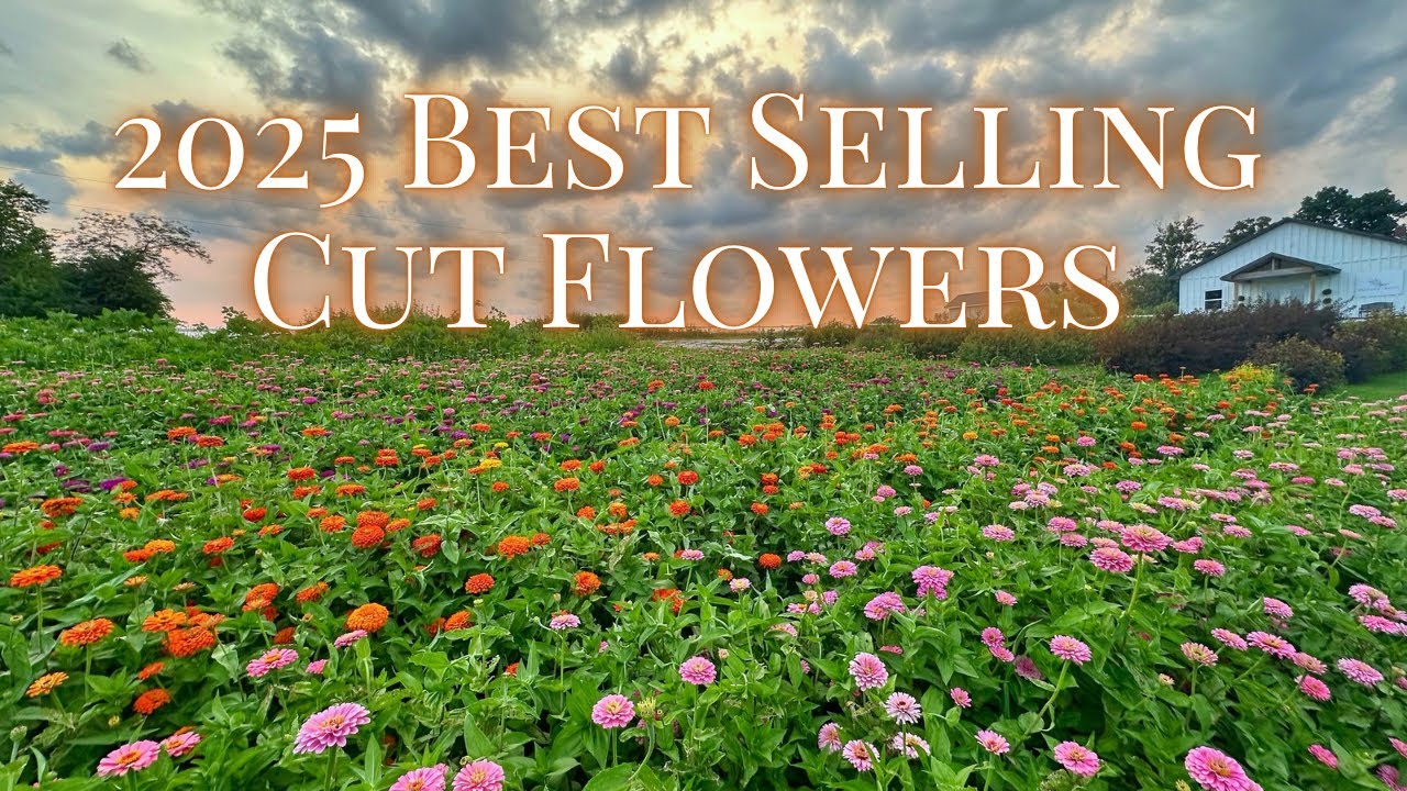 Best Selling Flowers Of 2025