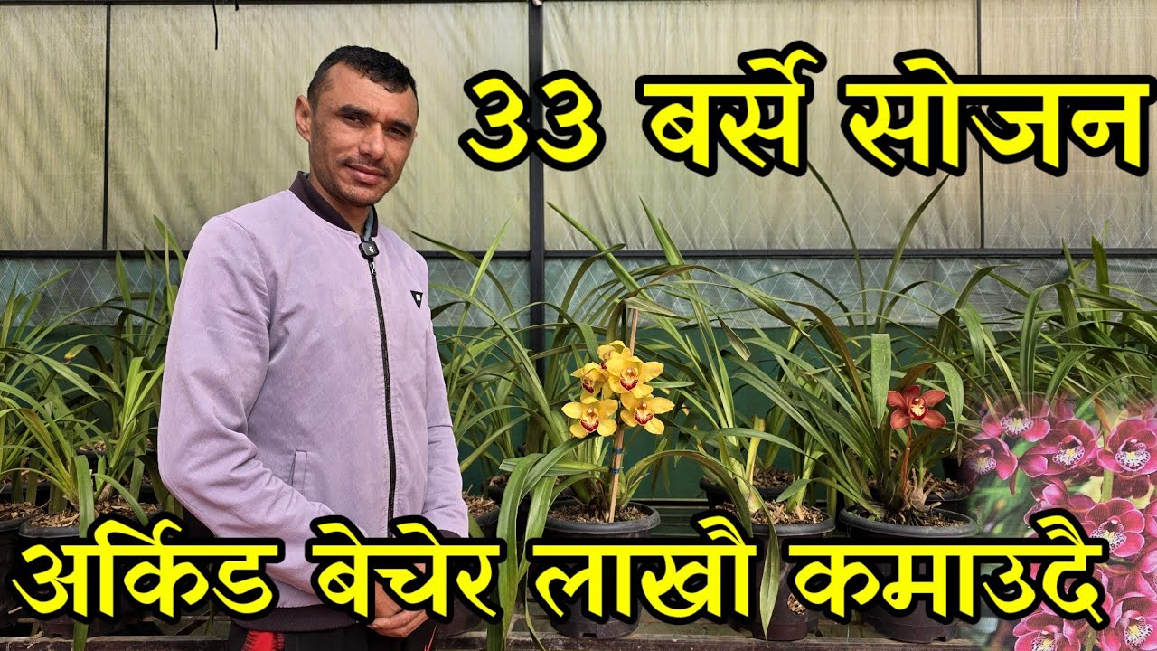 जम्मा 33 हजार लगानी गरेर महिनाकै एक लाख कमाउने 33 बर्से सोजन village flower farmers 