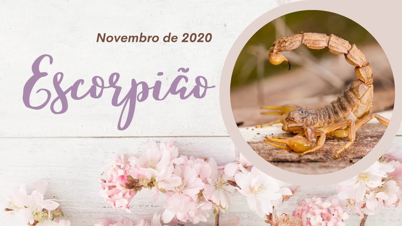 Escorpião - Novembro 2020