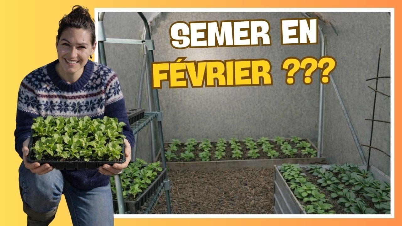 👩‍🌾 Semer en février ? Trop tôt ? Trop froid ???