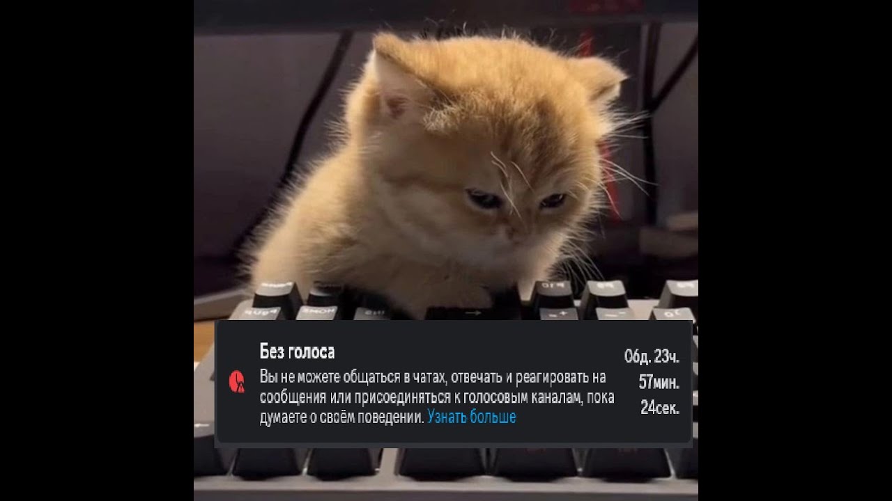 Дефолтная возня дыркуля.mp3