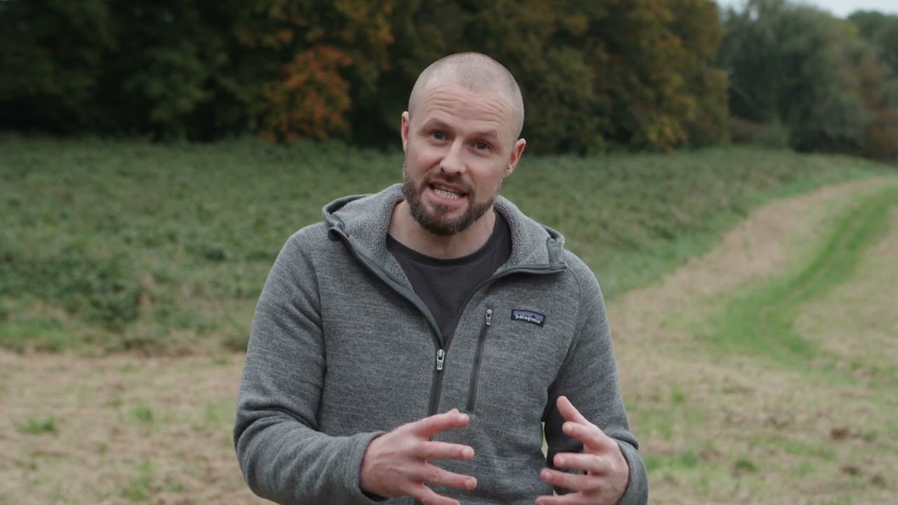 The risk of rodenticide exposure to wildlife