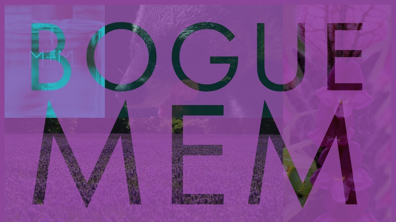 Bogue Mem Perfume Review and Score