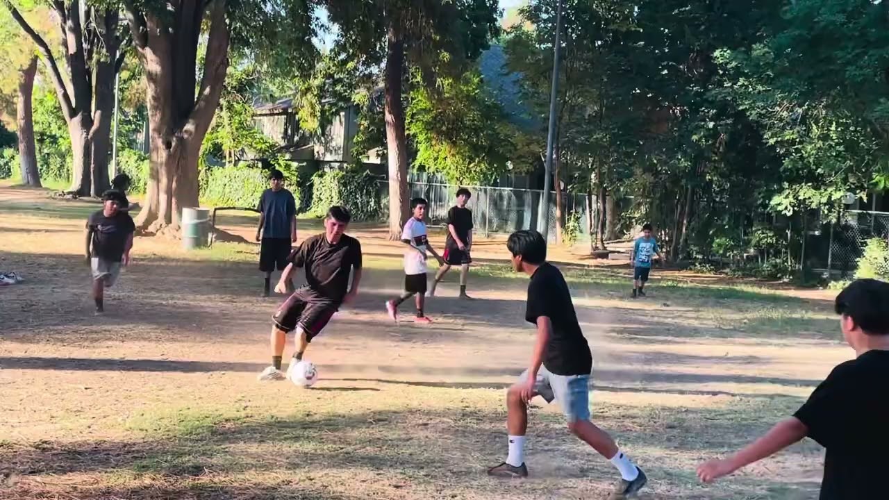 Runnymede park Scrim