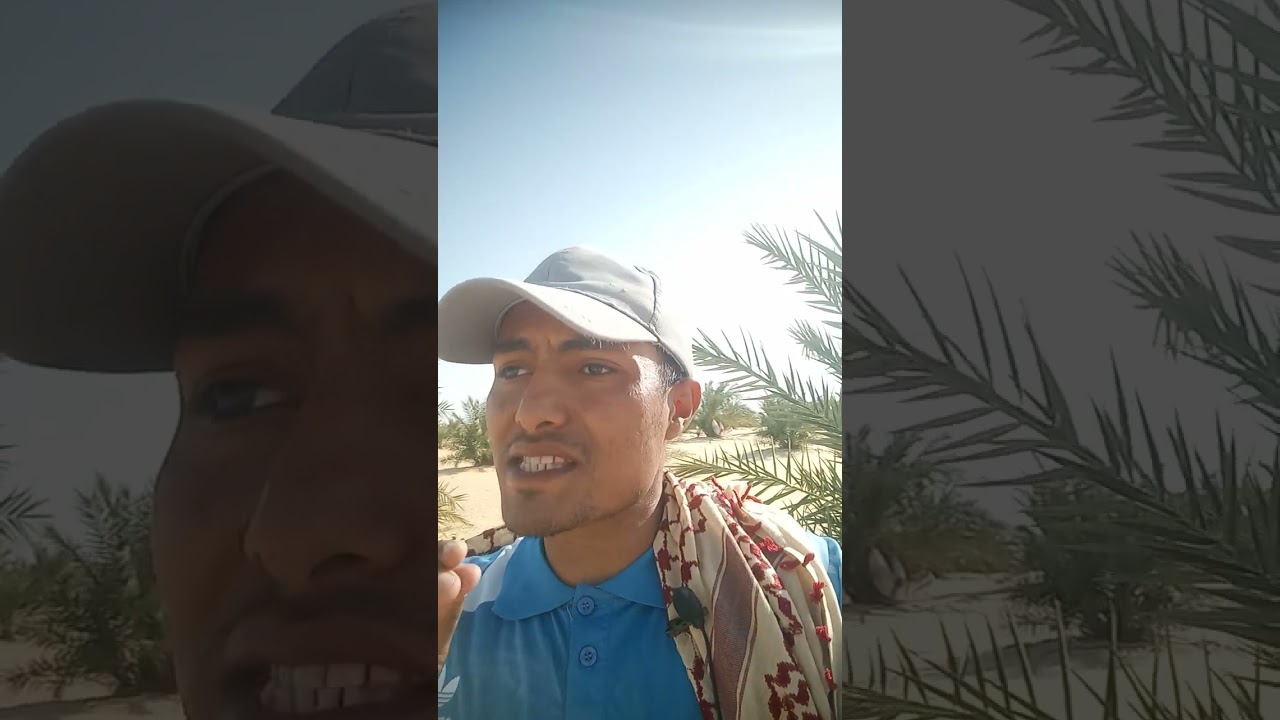 الخدمه الشتويه وغلطه فى استخدام الكبريت الزراعى