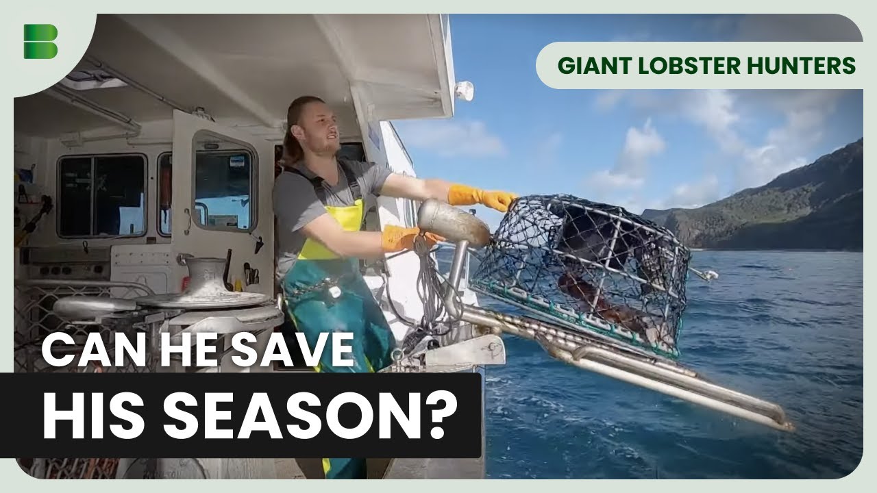 Survival in Australia's Fishing Crisis | Giant Lobster Hunters