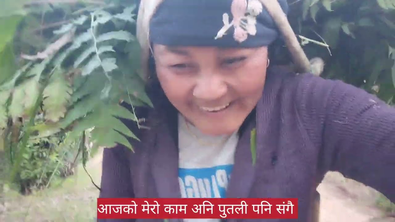 आज मेरो पुतली (बिरालो)पनि म सङ्गै घाँस🌿 काट्न  गएको नि😘🇳🇵🙏🌺🌿🌿