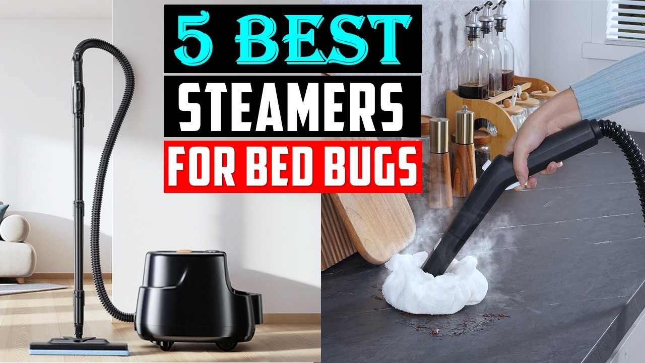 Top 5 Best Steamers for Bed Bugs 2026 - Buying Guide