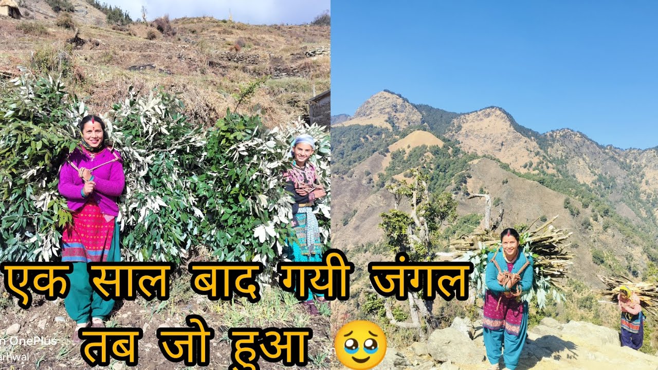 क्या लेने गयी और क्या लेकर आई पोपट बन गया आज 🤣🤣@anitapant4332 
