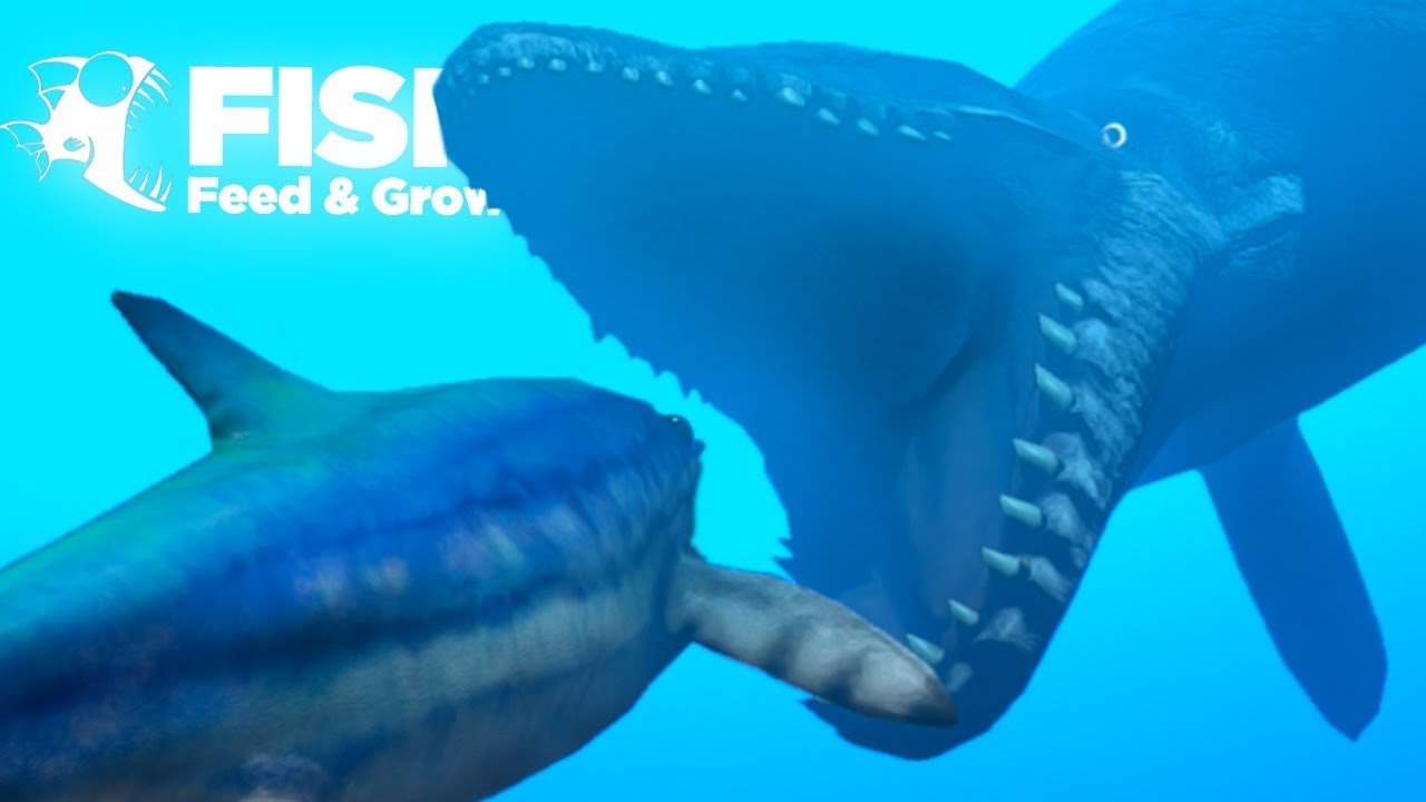 EATING THE BIGGEST CARNIVORES IN THE OCEAN!! - Fish Feed Grow | 19